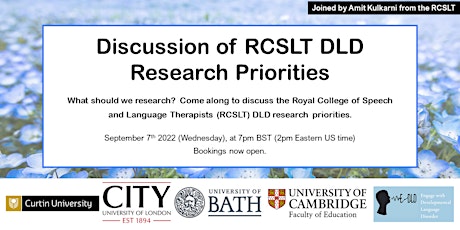 What should we research? Discussion of RCSLT DLD Research Priorities
