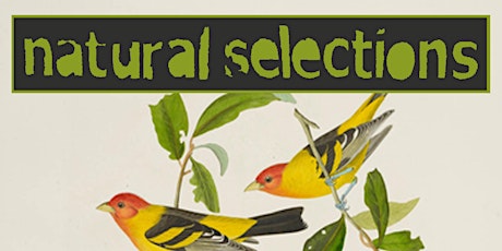 Natural Selections End Of Summer Party