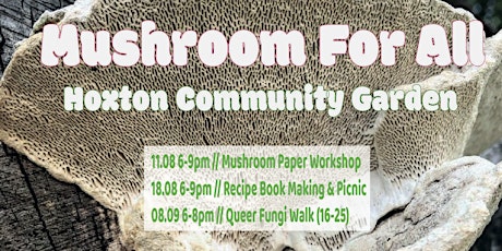 Mushroom For All: Mushroom Paper Workshop