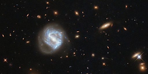 CONFERENCE - L'Univers local et Laniakea, notre superamas de galaxies