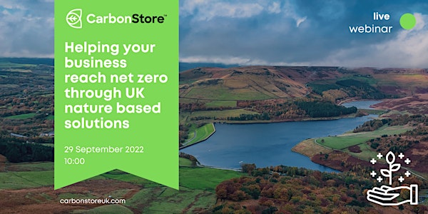 Helping your business reach net zero through UK nature based solutions