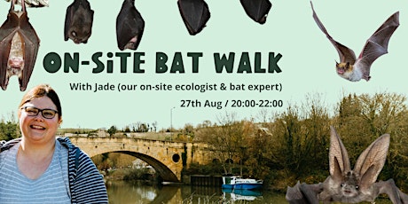 Take a walk to see & hear local bats around our site - August