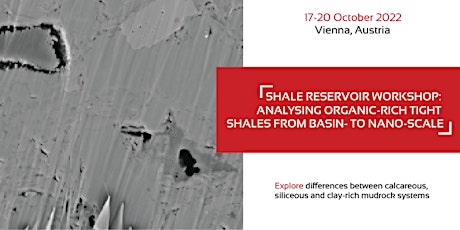 Workshop: Analysing Organic-Rich Tight Shales from Basin- to Nano-Scale