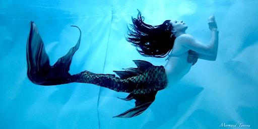Swim With A Mermaid