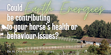 Could earth energies be contributing to your horse's health issues?