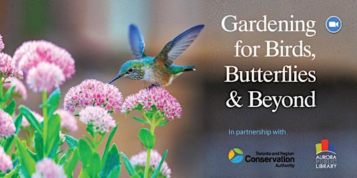 Gardening for Birds, Butterflies and Beyond