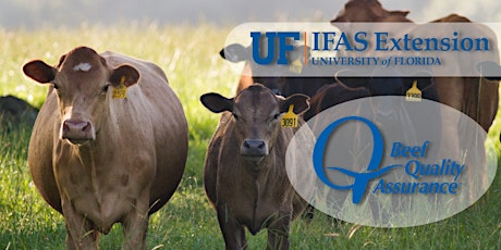 Beef Quality Assurance Certification Field Day