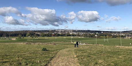 Views from a Park – The Black Ash and Tramore Valley Park