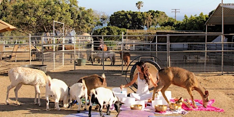 New Moon Sound Bath with Rescued Animals at Big Heart Ranch in Malibu