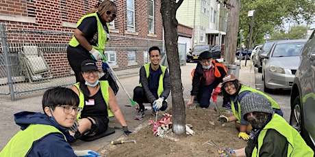 Lower East Side Street Tree Care: A Master Composter Volunteer Activity