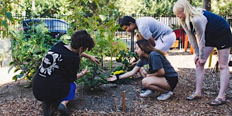 Collective Roots Community Garden Workday (1st Saturdays of the month)