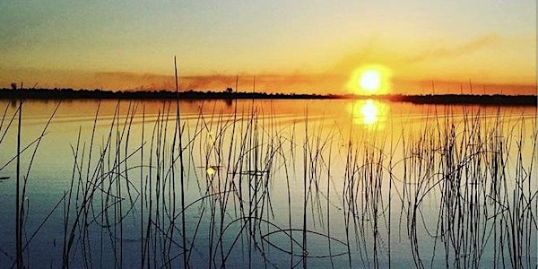Webinar: The Intersection of Environmentalism & Contemplative Practice