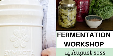 Fermentation Workshop