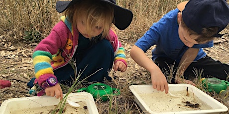 School holidays: Exploring nature in Sturt Gorge Wednesday 5th Oct