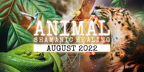 ANIMAL Power: Shamanic Healing Journey to free body, mind & soul