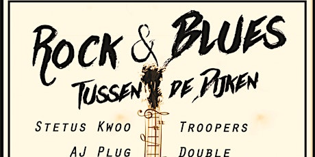 Primaire afbeelding van Rock & Blues Tussen de Dijken