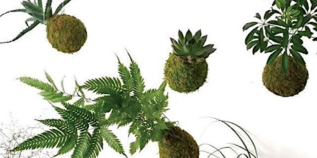 Kokedama: Japanese String Gardens primary image