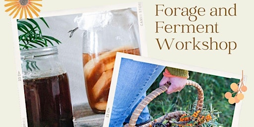 Forage & Ferment Herbal Medicine Workshop