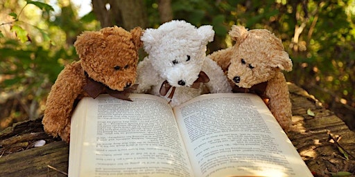 Teddy Bear's Picnic at Coolock Library