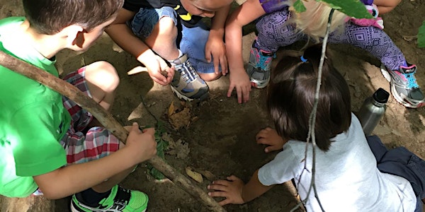 Math: Making Messes, Making Meaning and StoryWalk®️Workshop