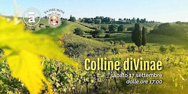 Colline diVinae - Wine Trekking 