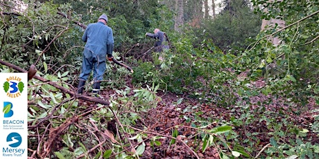 Rhododendron control work party