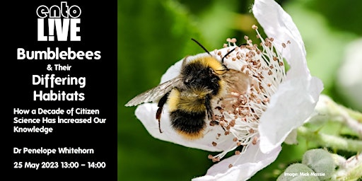 Bumblebees & Their Differing Habitats: A Decade of Citizen Science