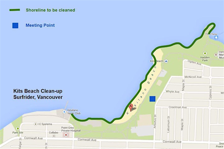 Kitsilano Beach Cleanup - Saturday, Sep 10, 2022 image