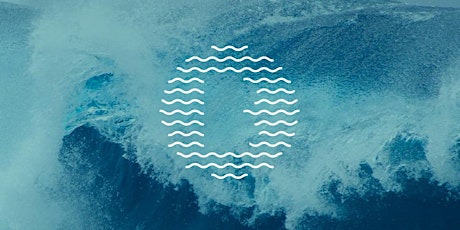 Blue Ocean Awards 2017, Nos entreprises créent de nouveaux marchés !