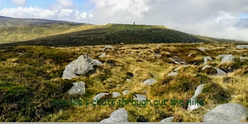 Camaderry Mountain & Turlough Hill Guided Hike