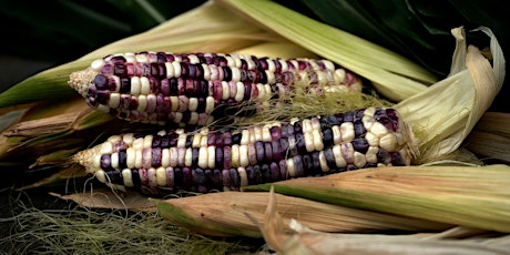 Hecho con Amor: Honoring the Life Stages of Maize through Cuisine