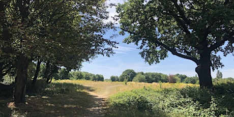 Mindful Nature Connection Session in Grove Farm
