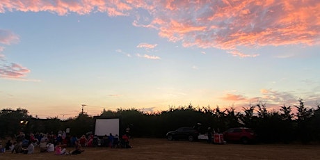 Outdoor Cinema (The Lion King (live action)
