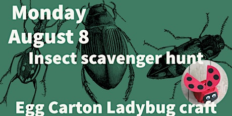 Insect scavenger hunt