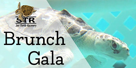 Sea Turtle Bruncheon - Fundraiser for Sea Turtle Recovery, Inc