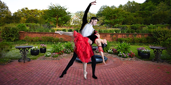 Mini Performance of Don Quixote by Ballet Theatre of Maryland