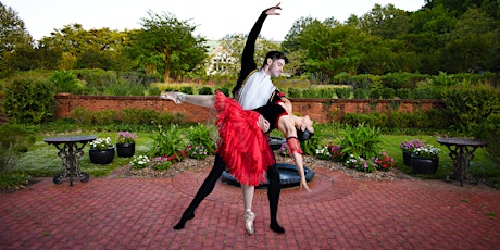 Ballet Theatre of Maryland presents "Don Quixote" VIRTUALLY