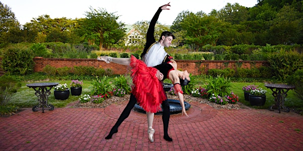 Ballet Theatre of Maryland presents "Don Quixote"