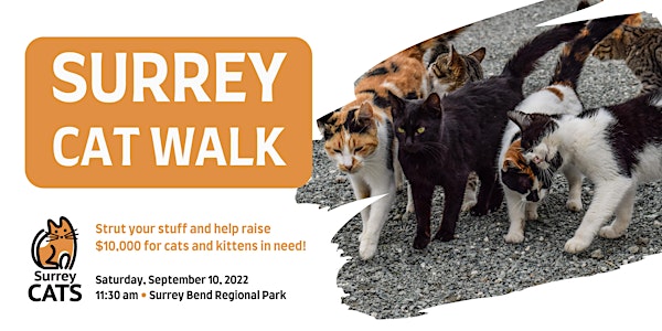 Surrey Cat Walk for Cats and Kittens in Need