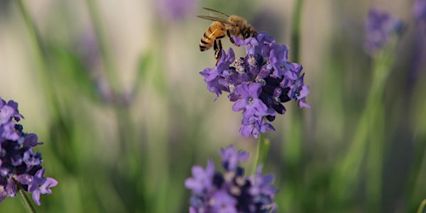 2022/2023 Membership Richmond Beekeepers Association