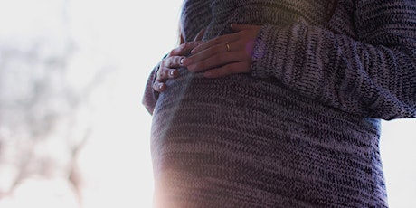 The Resilience Toolkit for Moms-to-be & New Moms primary image