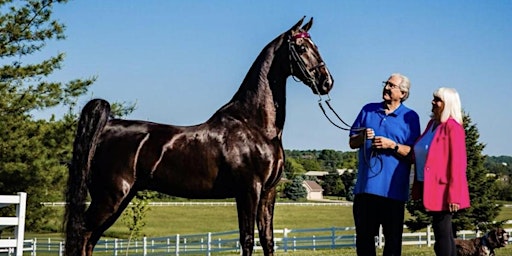 Imagem principal de Horse Grooming Classes