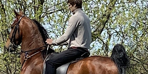 Private Riding Lessons primary image