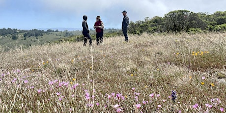 Talk: Restoration Outcomes on California Coastal Grasslands