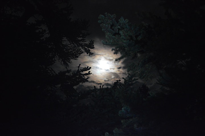 Full Moon Hike Parnitha image