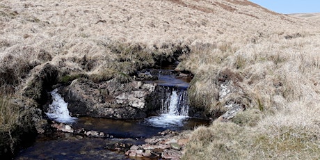 The ecology of the streams and rivers of the Cambrian Mountains