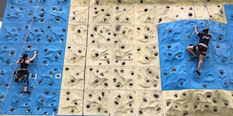 Climbing Course - Sport Climbing Level 1 primary image