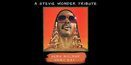 Stevie Wonder Tribute