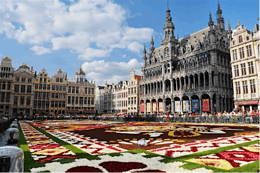 Brussels Grand Place Flower Carpet Opening Night - Flowers & Lightshow