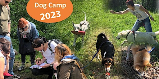Dogcamp in Rauris 5.8. - 12.8.23